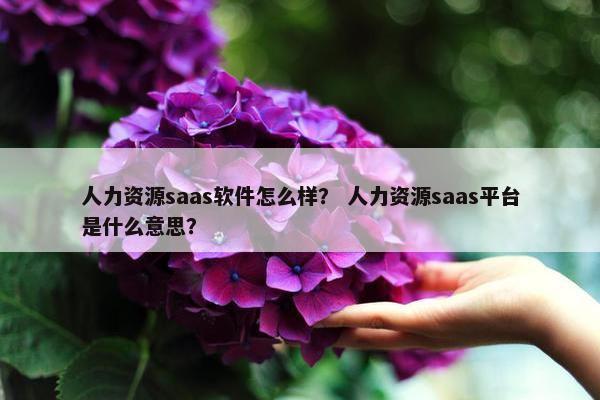 人力资源saas软件怎么样？ 人力资源saas平台是什么意思？