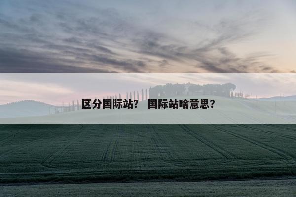 区分国际站？ 国际站啥意思？