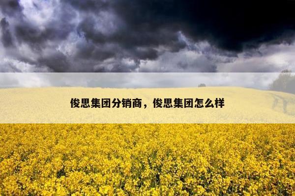 俊思集团分销商，俊思集团怎么样