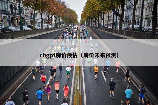 chgpt房价预估（房价未来预测）