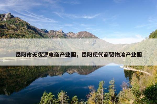 岳阳市无货源电商产业园，岳阳现代商贸物流产业园