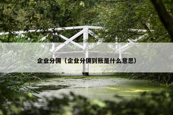企业分佣（企业分佣到账是什么意思）