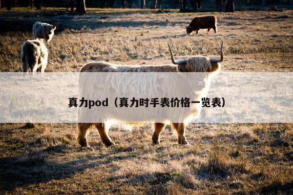 真力pod（真力时手表价格一览表）