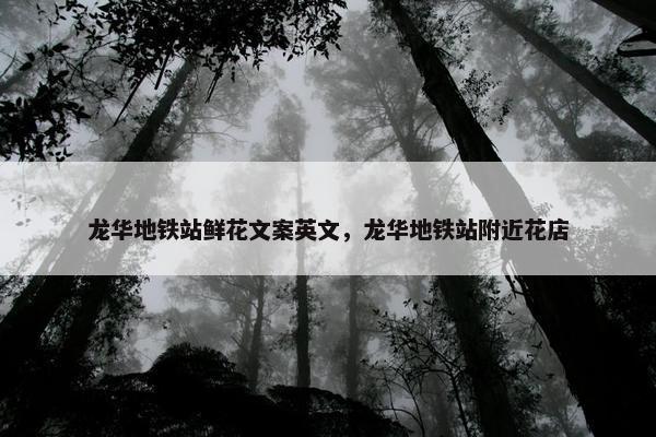 龙华地铁站鲜花文案英文，龙华地铁站附近花店