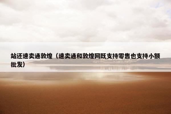 站还速卖通敦煌（速卖通和敦煌网既支持零售也支持小额批发）