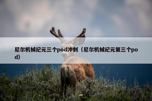 尼尔机械纪元三个pod冲刺（尼尔机械纪元第三个pod）