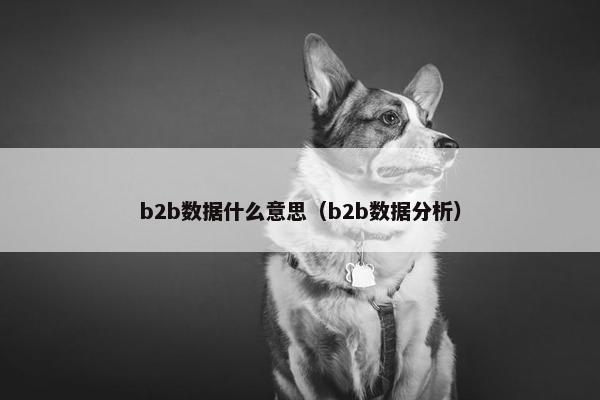 b2b数据什么意思（b2b数据分析）