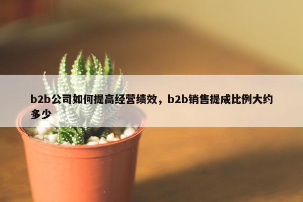 b2b公司如何提高经营绩效，b2b销售提成比例大约多少