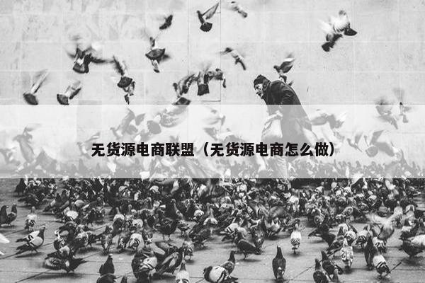 无货源电商联盟（无货源电商怎么做）