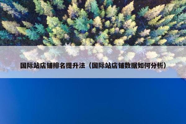 国际站店铺排名提升法（国际站店铺数据如何分析）