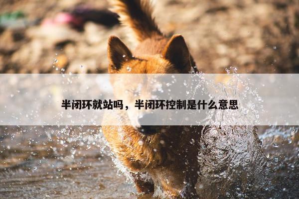 半闭环就站吗，半闭环控制是什么意思