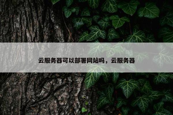 云服务器可以部署网站吗，云服务器