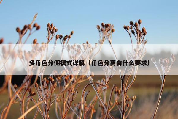 多角色分佣模式详解（角色分离有什么要求）