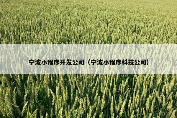 宁波小程序开发公司（宁波小程序科技公司）