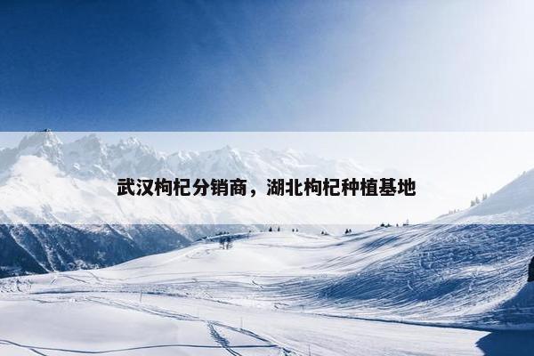 武汉枸杞分销商，湖北枸杞种植基地