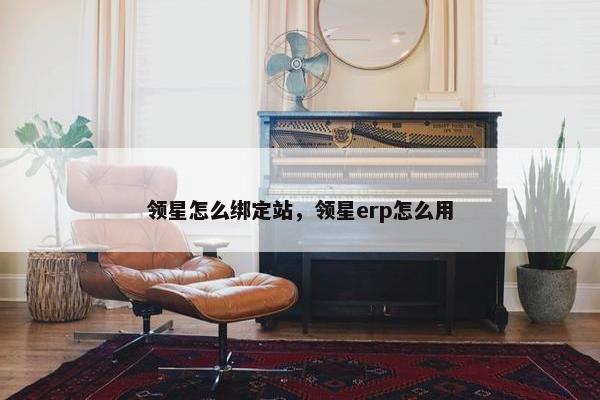 领星怎么绑定站，领星erp怎么用