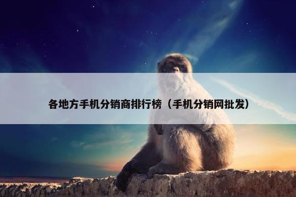 各地方手机分销商排行榜（手机分销网批发）