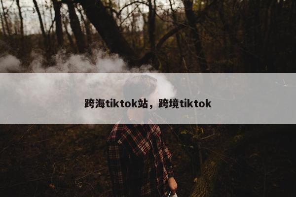 跨海tiktok站，跨境tiktok