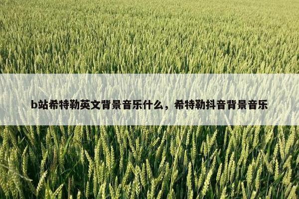 b站希特勒英文背景音乐什么，希特勒抖音背景音乐