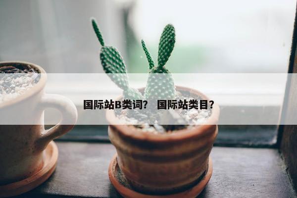 国际站B类词？ 国际站类目？