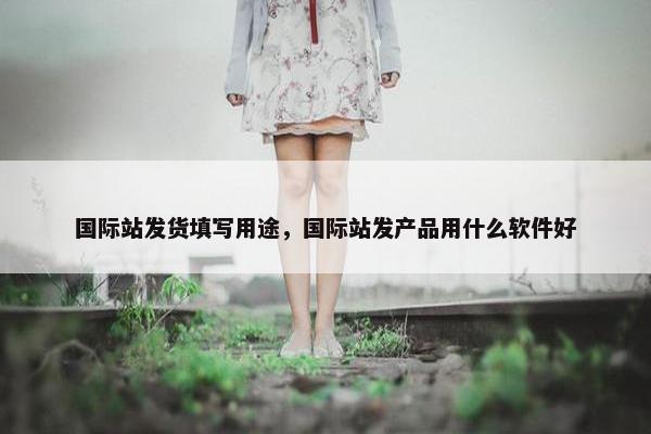 国际站发货填写用途，国际站发产品用什么软件好