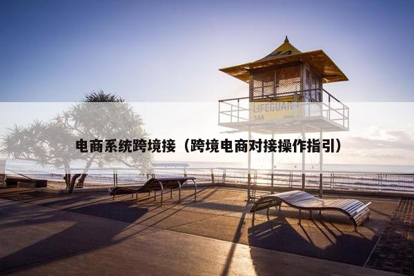 电商系统跨境接（跨境电商对接操作指引）