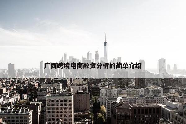 广西跨境电商融资分析的简单介绍