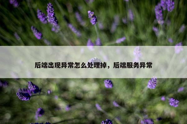 后端出现异常怎么处理掉，后端服务异常