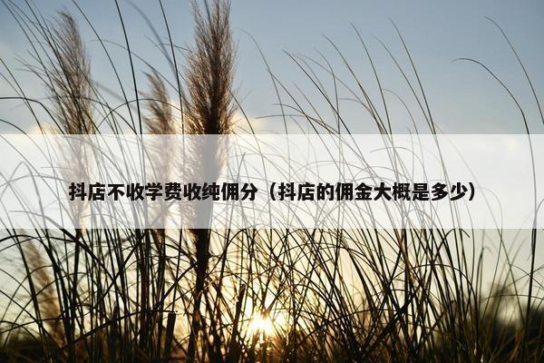 抖店不收学费收纯佣分（抖店的佣金大概是多少）