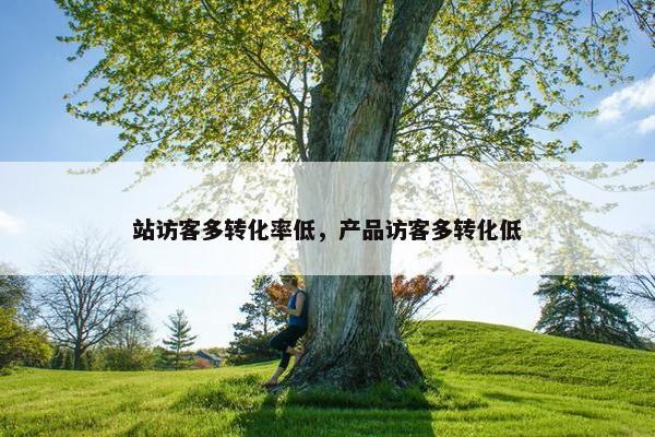 站访客多转化率低，产品访客多转化低