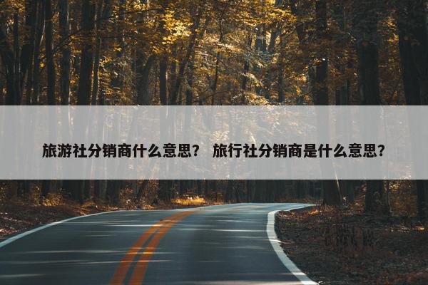 旅游社分销商什么意思？ 旅行社分销商是什么意思？