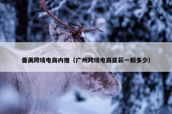 番禺跨境电商内推（广州跨境电商底薪一般多少）