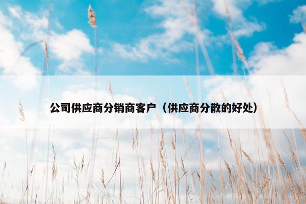 公司供应商分销商客户（供应商分散的好处）