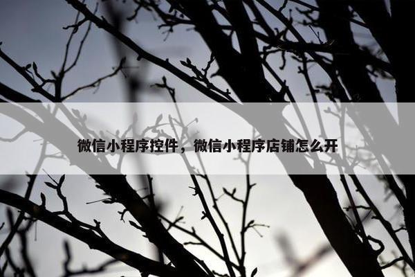 微信小程序控件，微信小程序店铺怎么开