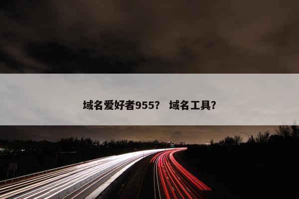 域名爱好者955？ 域名工具？