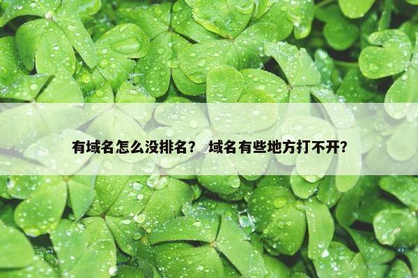 有域名怎么没排名？ 域名有些地方打不开？