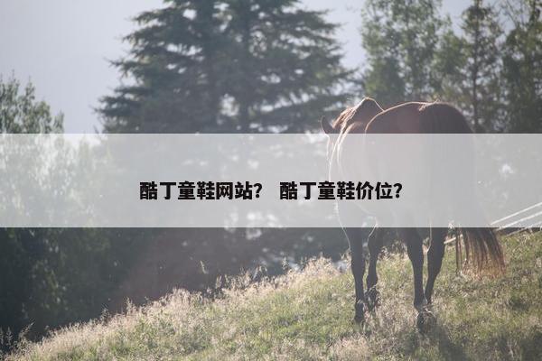 酷丁童鞋网站？ 酷丁童鞋价位？