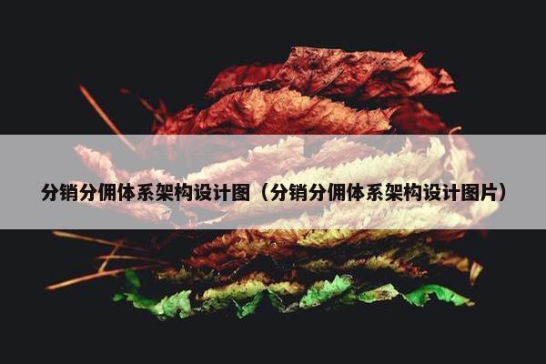 分销分佣体系架构设计图（分销分佣体系架构设计图片）