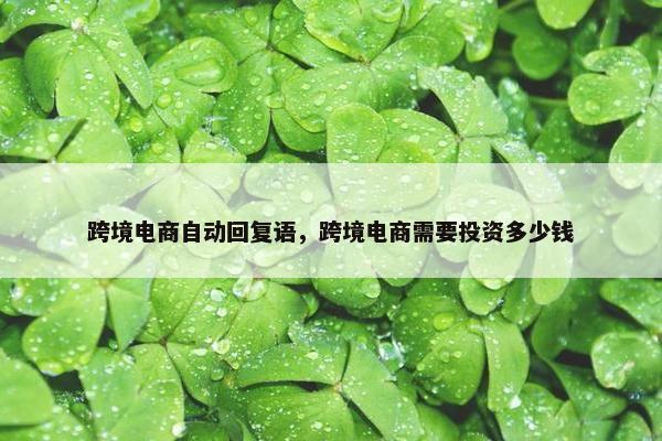 跨境电商自动回复语，跨境电商需要投资多少钱