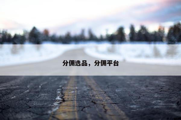 分佣选品，分佣平台