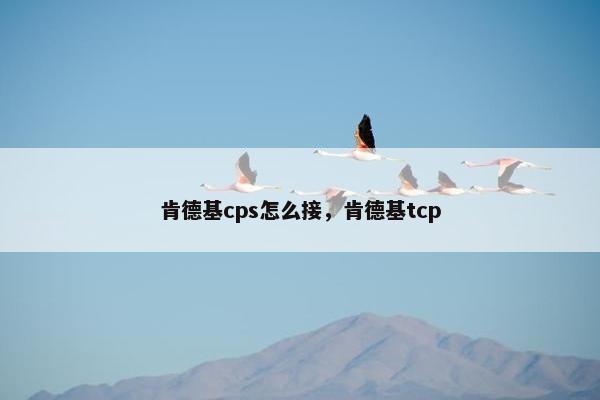 肯德基cps怎么接，肯德基tcp