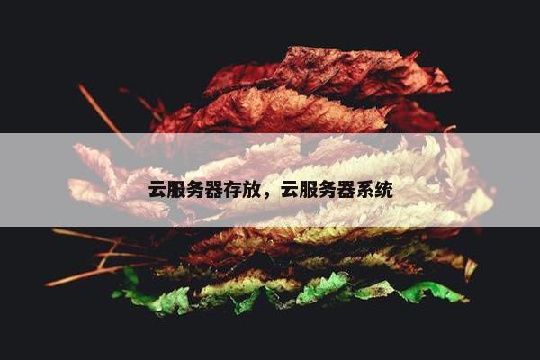 云服务器存放，云服务器系统