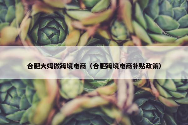合肥大妈做跨境电商（合肥跨境电商补贴政策）