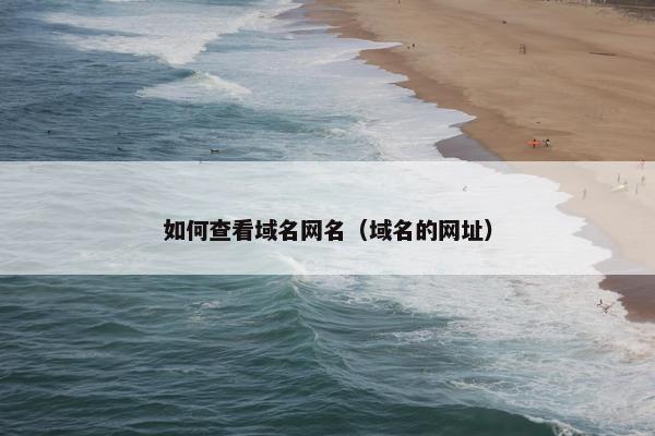 如何查看域名网名（域名的网址）