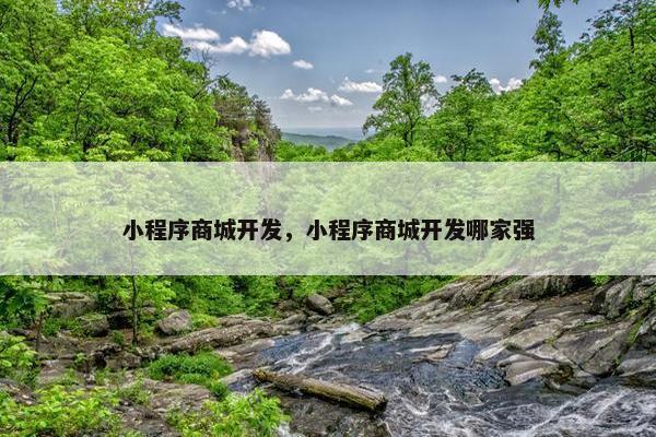 小程序商城开发，小程序商城开发哪家强