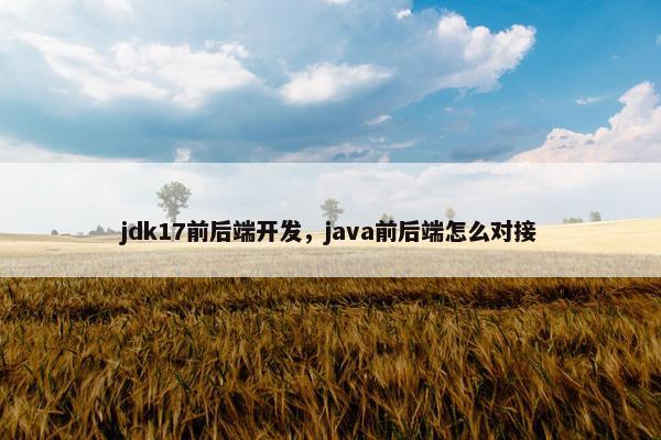 jdk17前后端开发，java前后端怎么对接