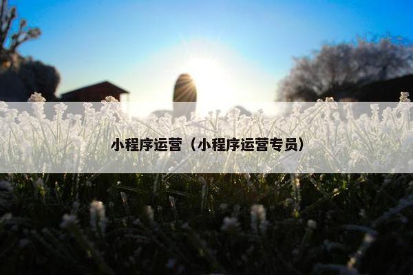 小程序运营（小程序运营专员）