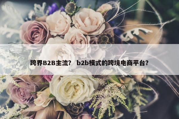 跨界B2B主流？ b2b模式的跨境电商平台？