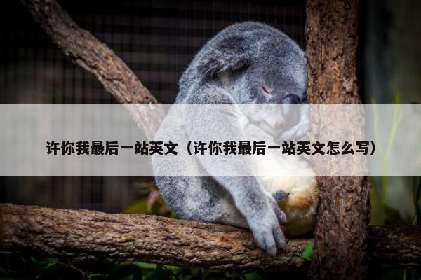 许你我最后一站英文（许你我最后一站英文怎么写）