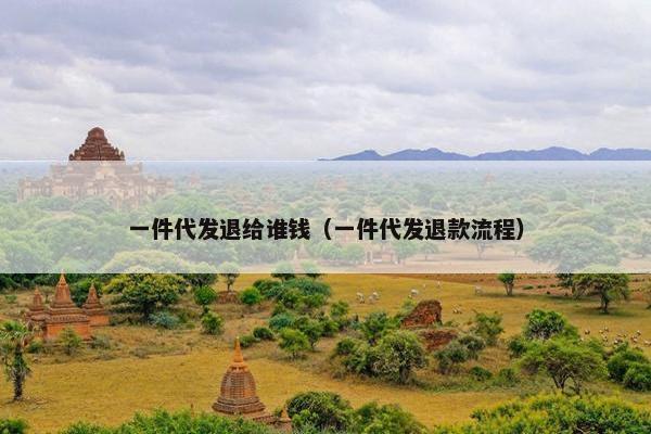 一件代发退给谁钱（一件代发退款流程）